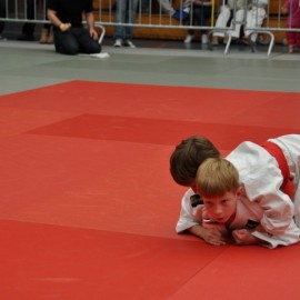 DSC 0692  Small - Judoclub Zaventem 